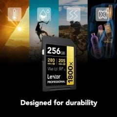 Lexar Professional 256GB 1800X 280 MB/s 4K V60 SDXC Hafıza Kartı