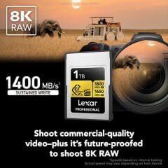 Lexar 1TB Professional GOLD CFexpress 4.0 Type A Hafıza Kartı