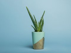 Superior Sky Blue 1.35 x 11 Metre Fon Kağıdı (P111402)