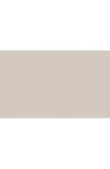 BD Backgrounds Stüdyo Fon  (Silver Gray 127)